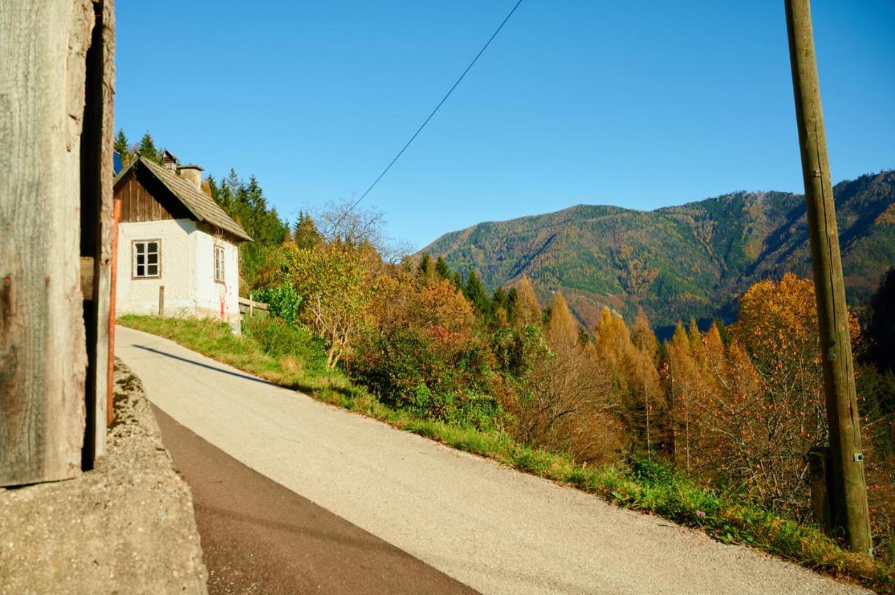 Romantische Ferienhuette Nationalpark Kalkalpen, Sonnig, 2 Schlafzimmer, Wlan Kleinreifling Exterior photo
