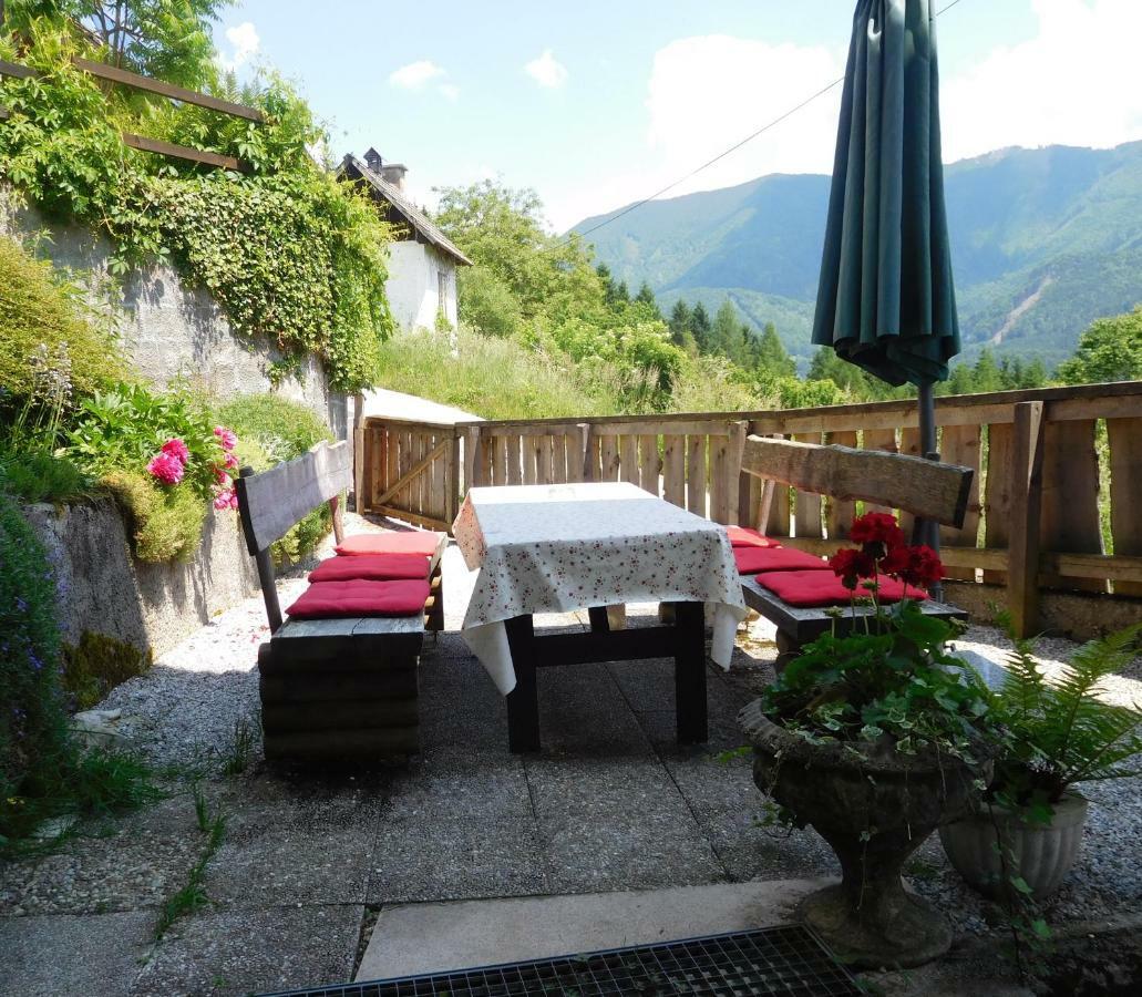 Romantische Ferienhuette Nationalpark Kalkalpen, Sonnig, 2 Schlafzimmer, Wlan Kleinreifling Exterior photo